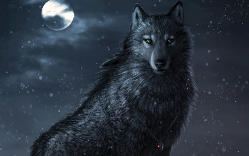 Black Wolf with Green Eyes — Gray