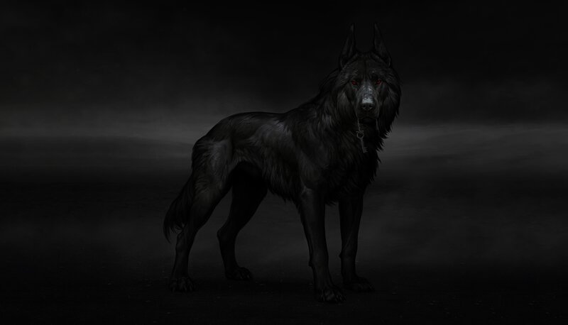 Black Wolf with Red Eyes — Dramatic, Night
