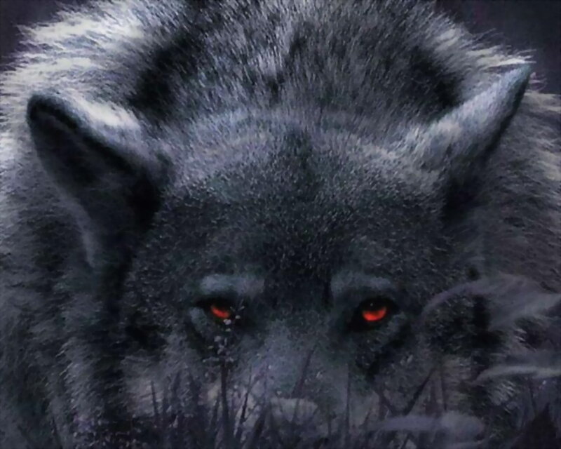Black Wolf with Red Eyes