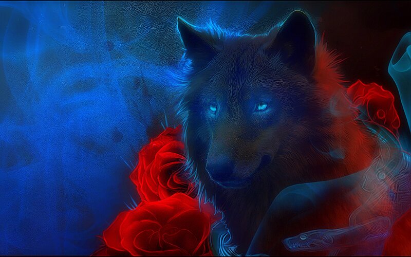 Black Wolf with Roses