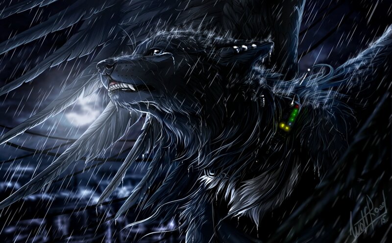 Black Wolf with Wings — Dramatic, Night, Digital Art
