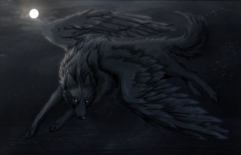 Black Wolf with Wings — Dramatic, Night