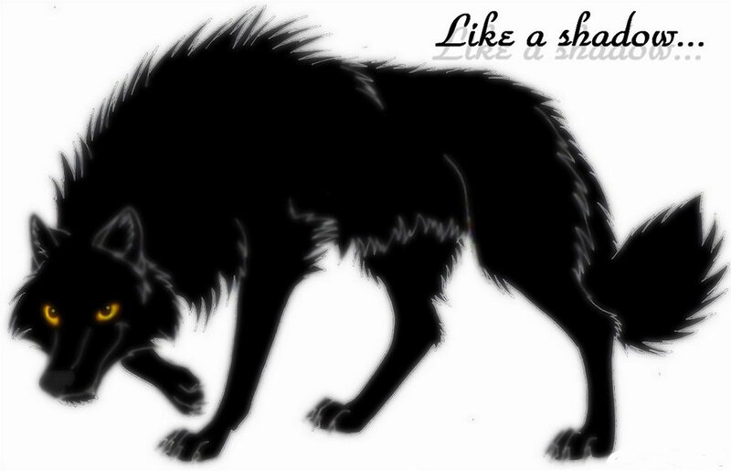 Black Wolf with Yellow Eyes — Dark