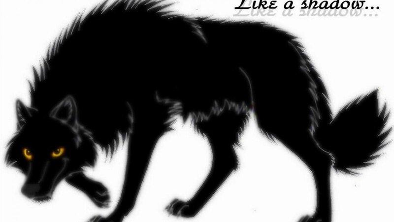 Black Wolf with Yellow Eyes — Dramatic