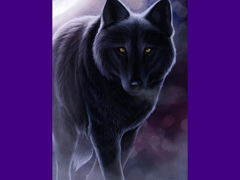 Black Wolf with Yellow Eyes