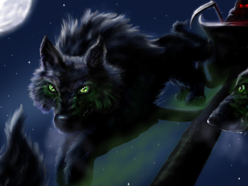 Black Wolves at Night
