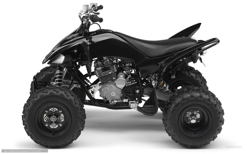 black yamaha atv side profile
