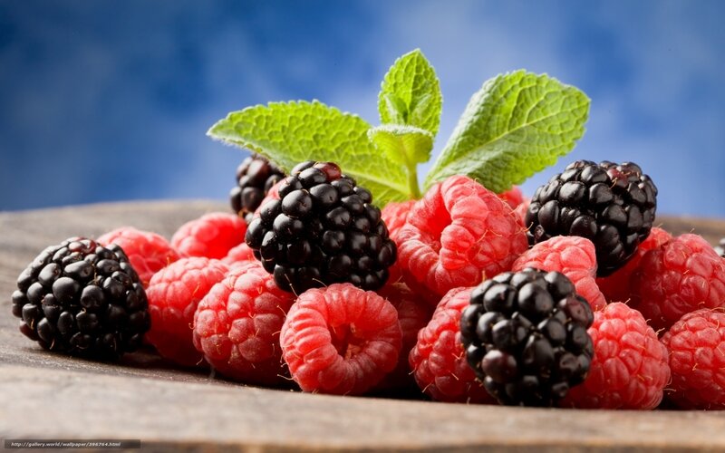 Blackberries and Raspberries