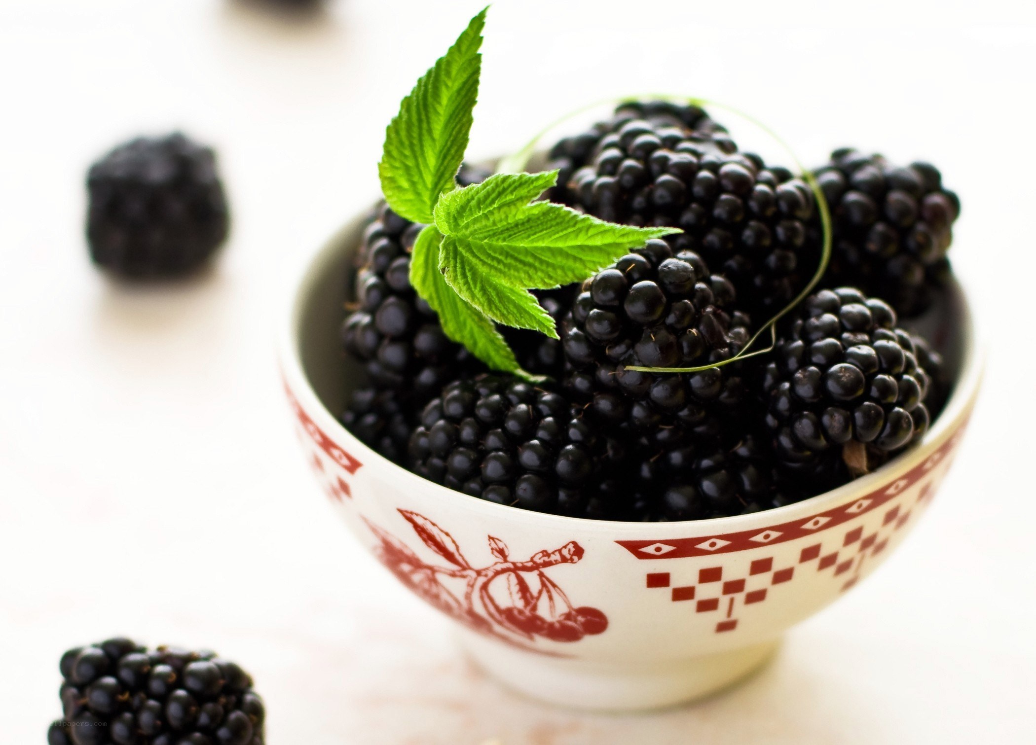 Blackberries in a bowl
