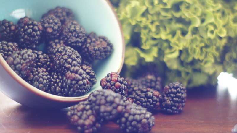 Blackberries in a Bowl — Blue