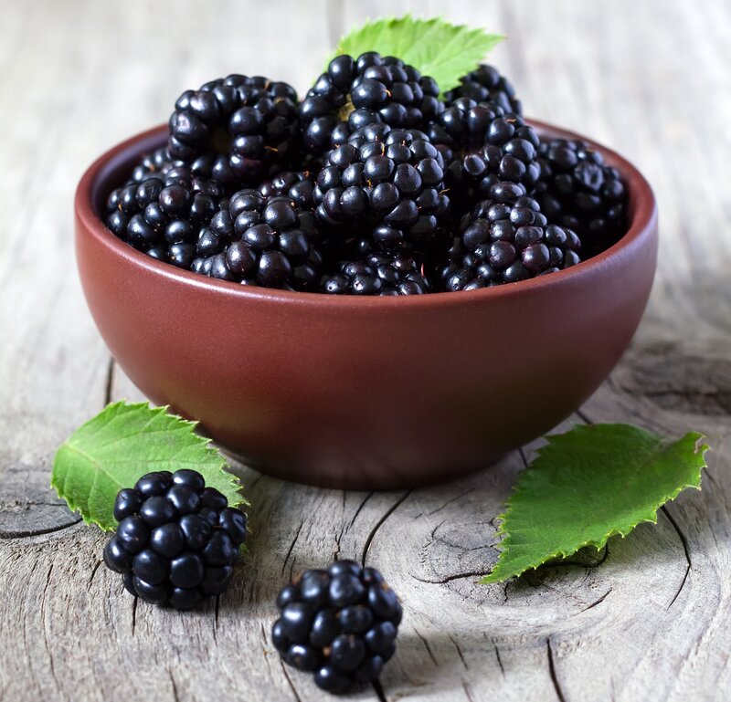 Blackberries in a Bowl — Brown