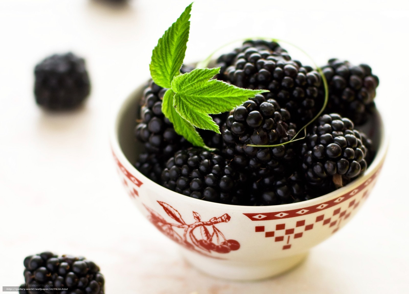 Blackberries in a bowl