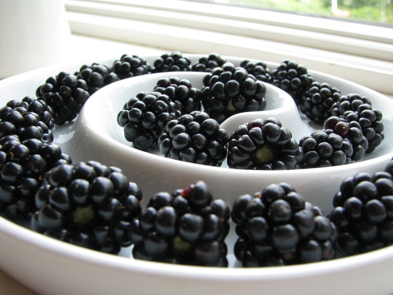 Blackberries in a white bowl