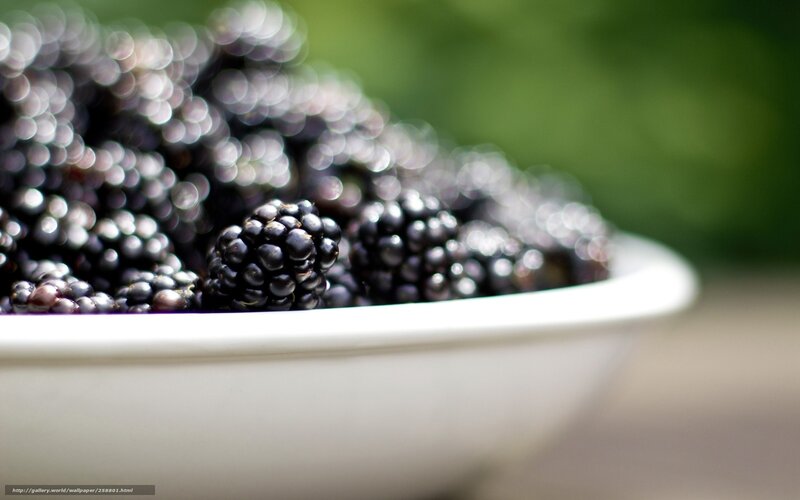 Blackberries in a white bowl