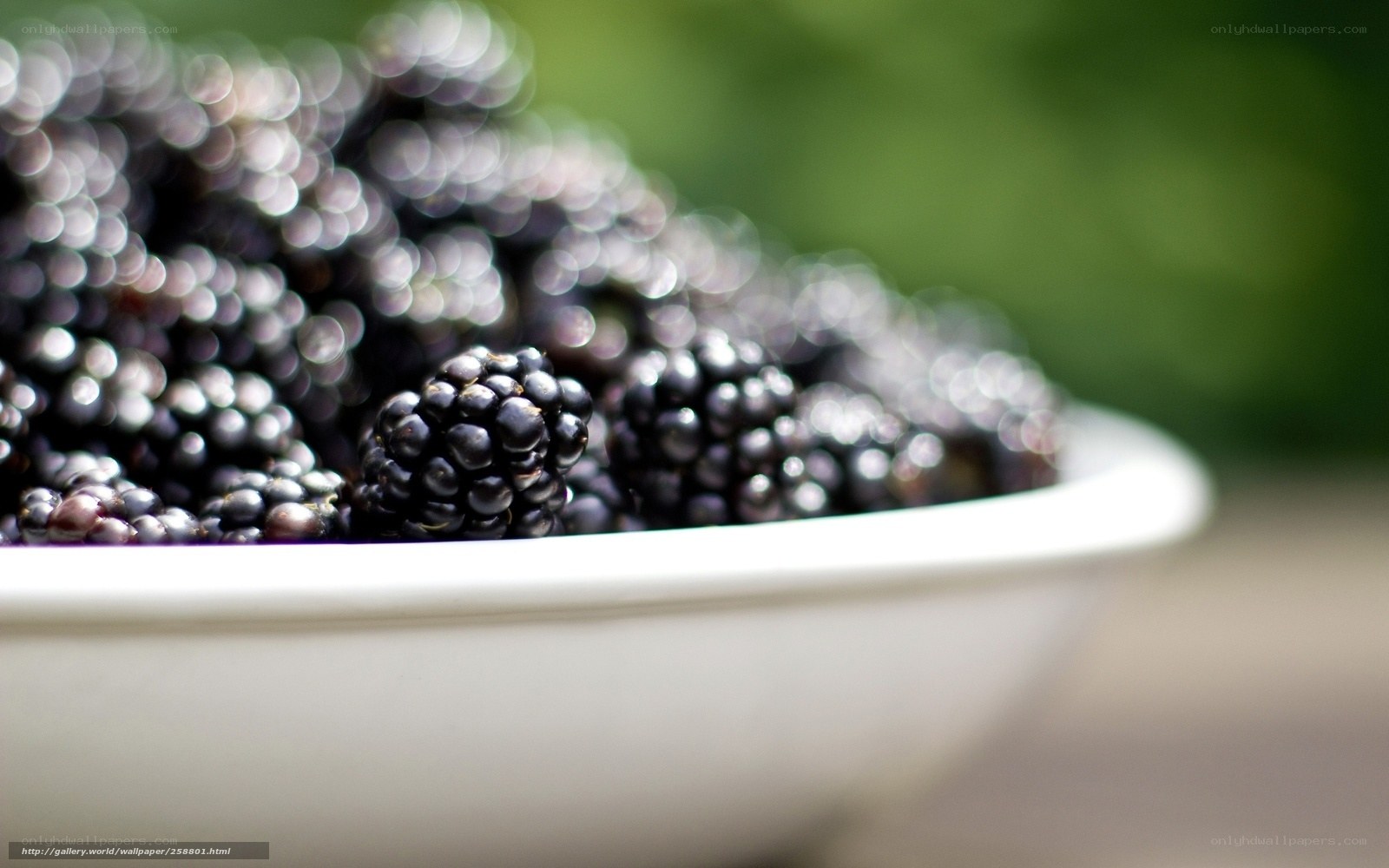 Blackberries in a white bowl
