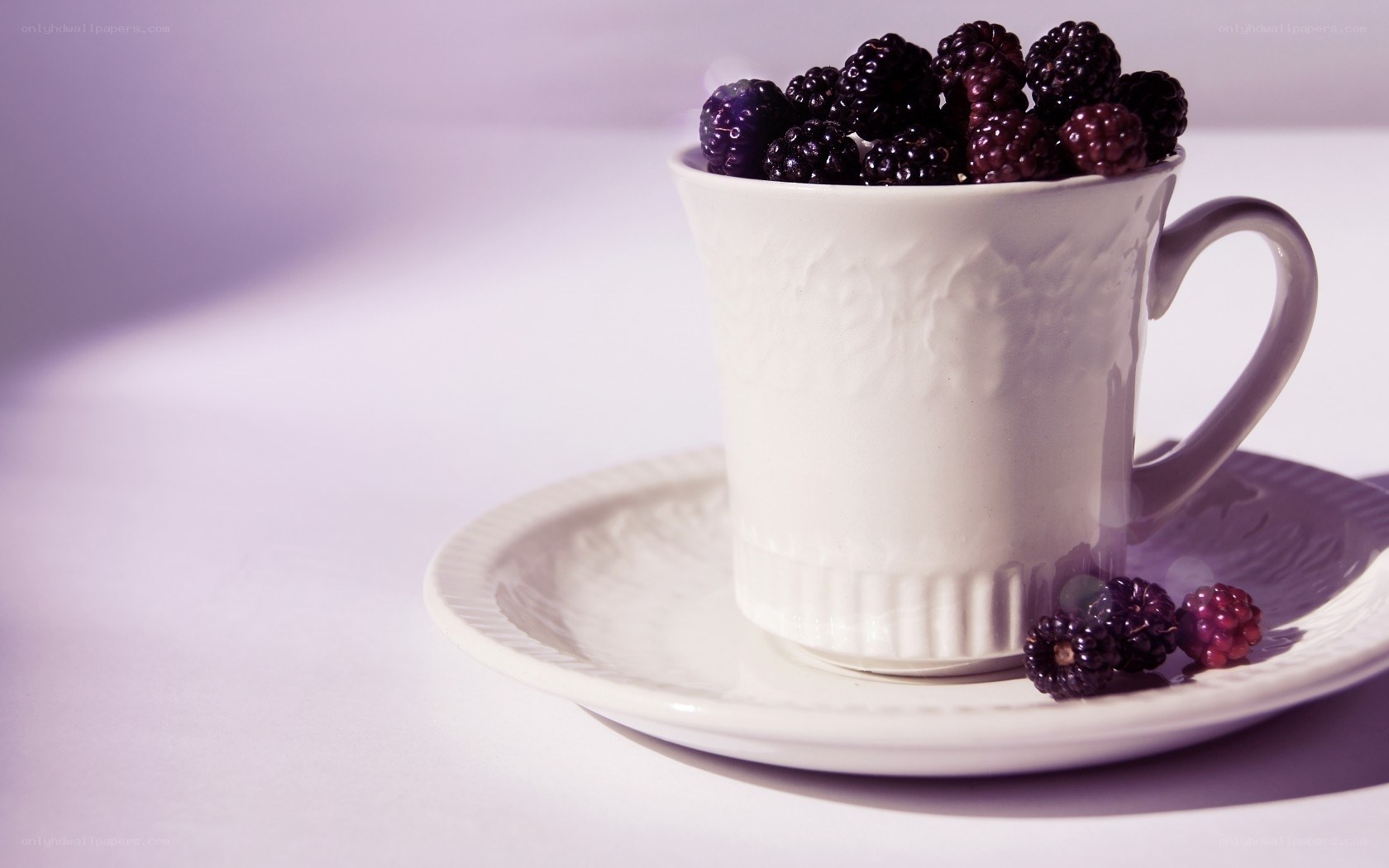 Blackberries in a white cup