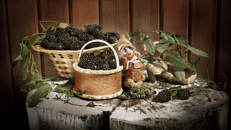Blackberries in Baskets