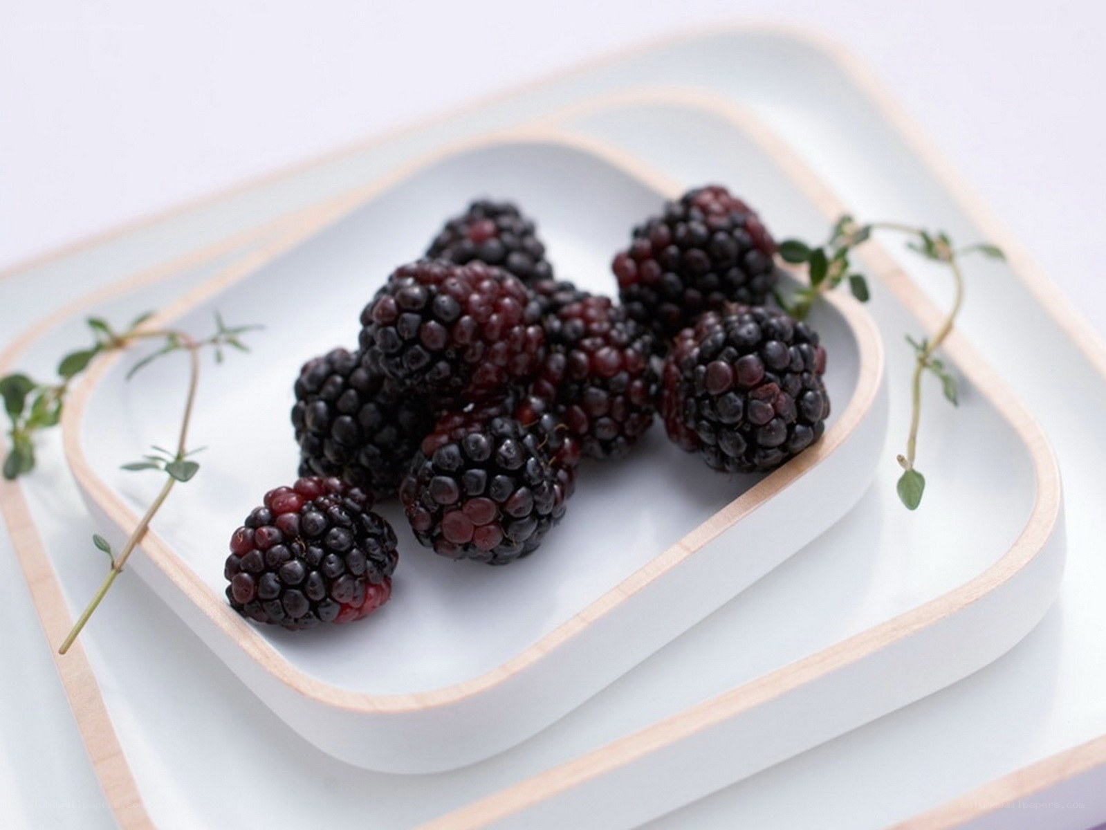 Blackberries on a white plate