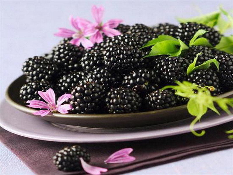 Blackberries with flowers and leaves