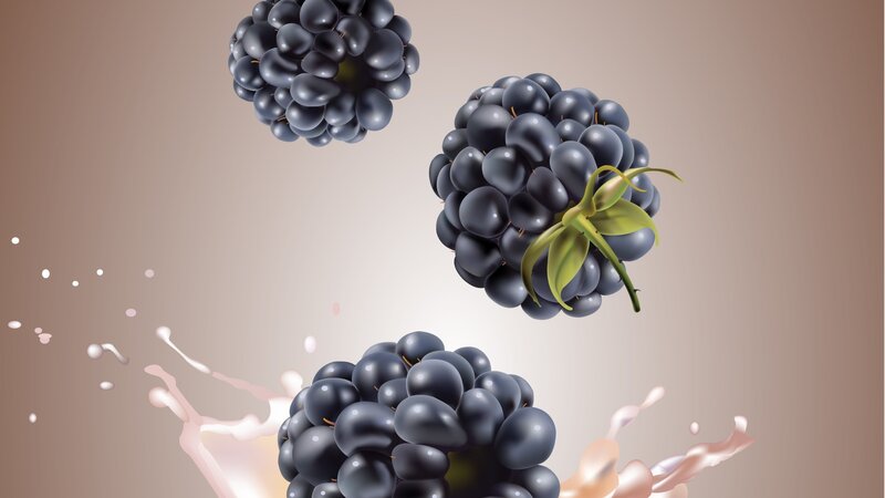 Blackberries with Milk Splash