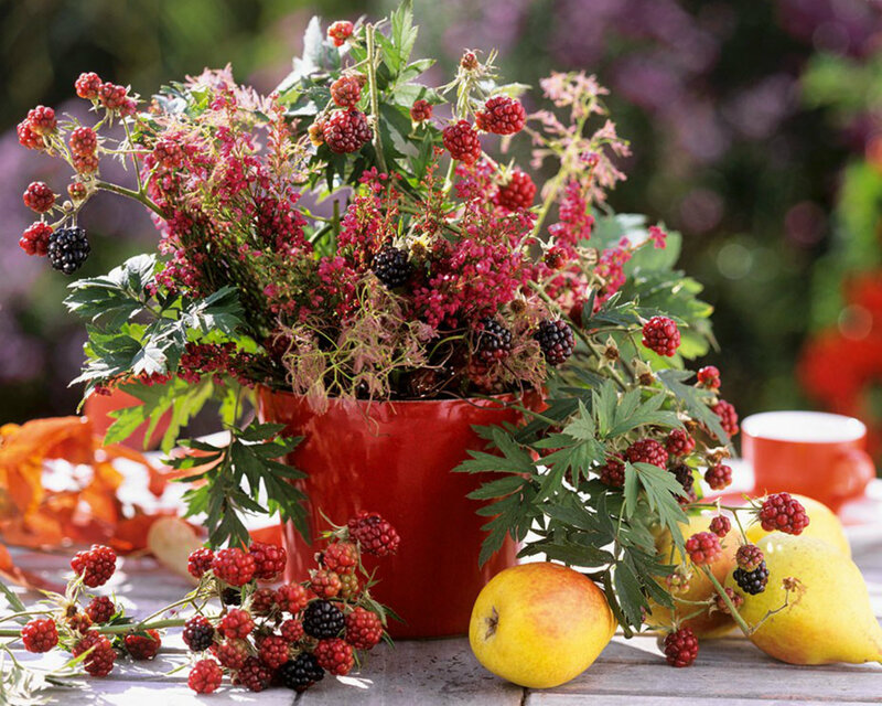 Blackberry Bouquet on Table