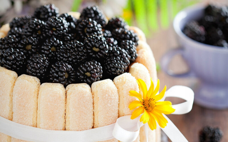 Blackberry Cake with Ladyfinger