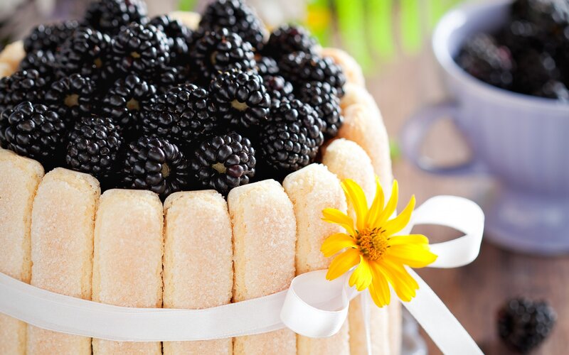 Blackberry Cake with Ladyfingers