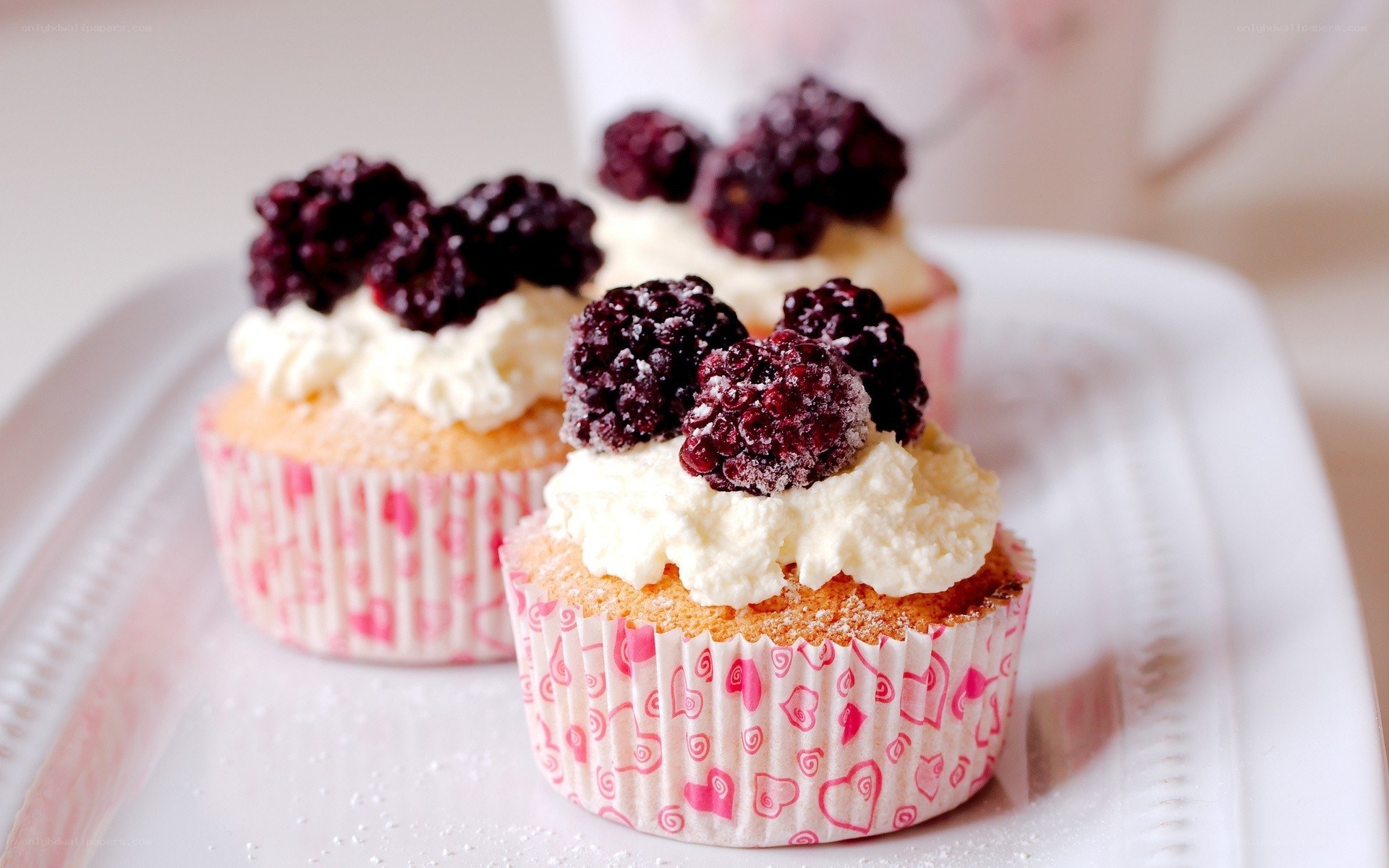blackberry cupcakes on tray