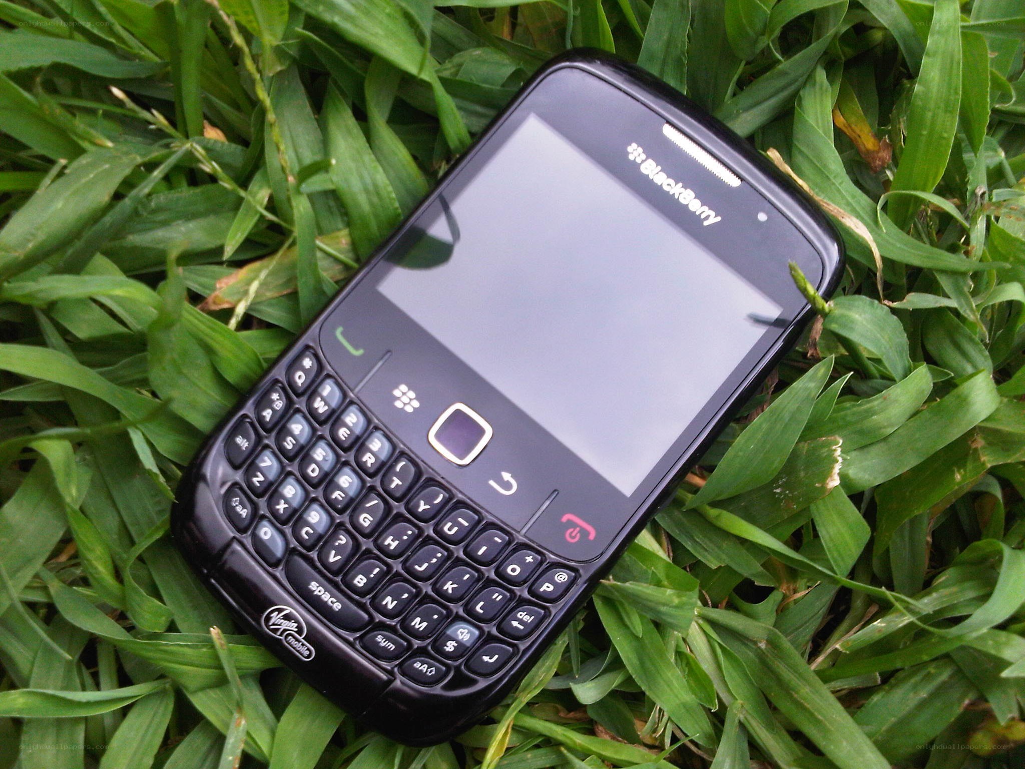 BlackBerry phone on grass