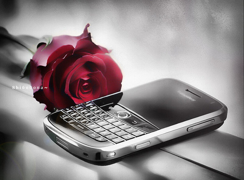 Blackberry Phone with Rose