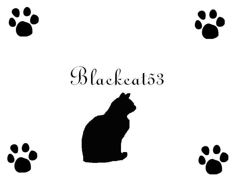 Blackcat53 logo with cat silhouette