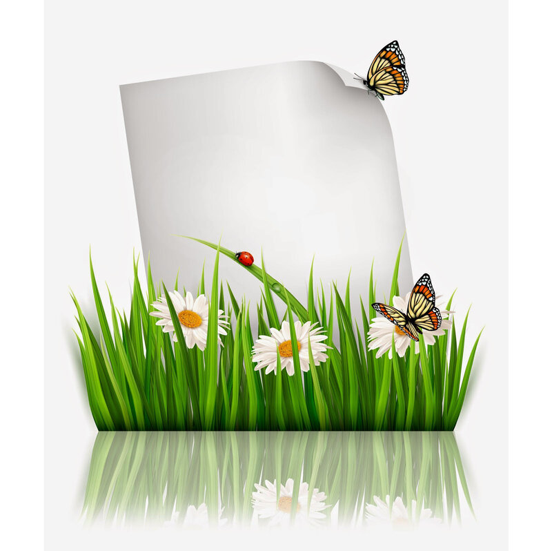 Blank Paper in Grass
