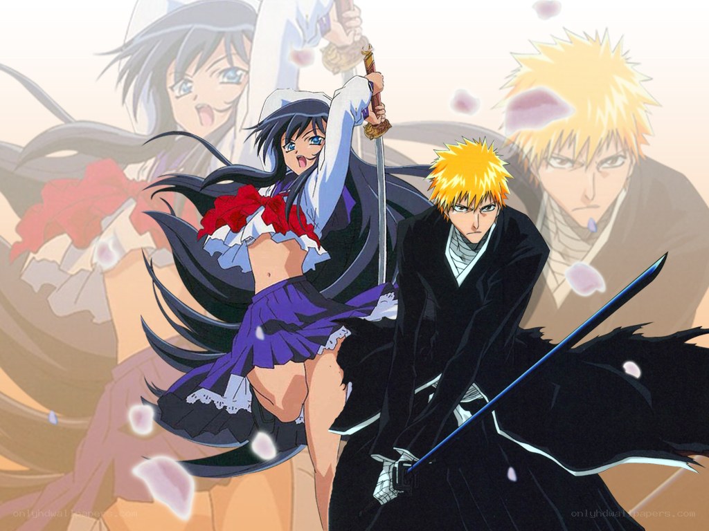 Bleach and Rukia in action