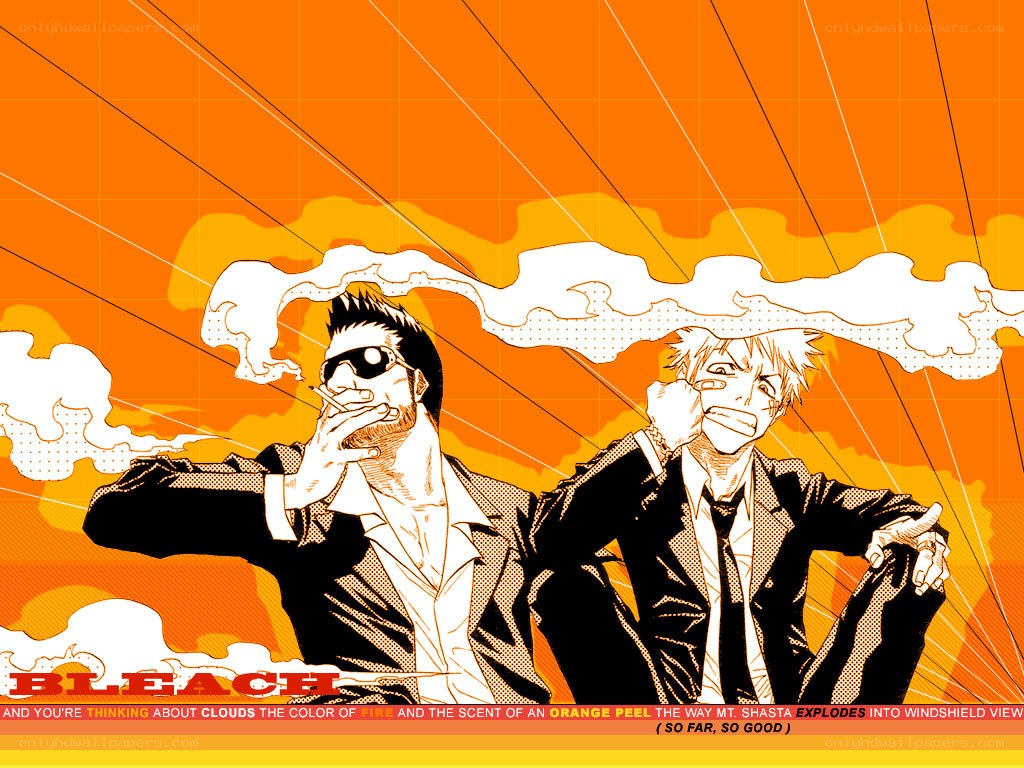 Bleach anime art with two characters