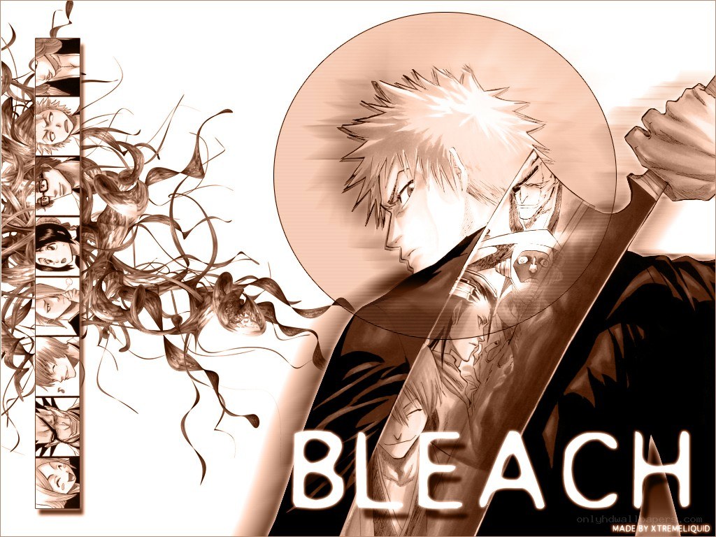 Bleach anime artwork