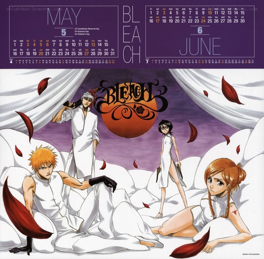 Bleach anime calendar art