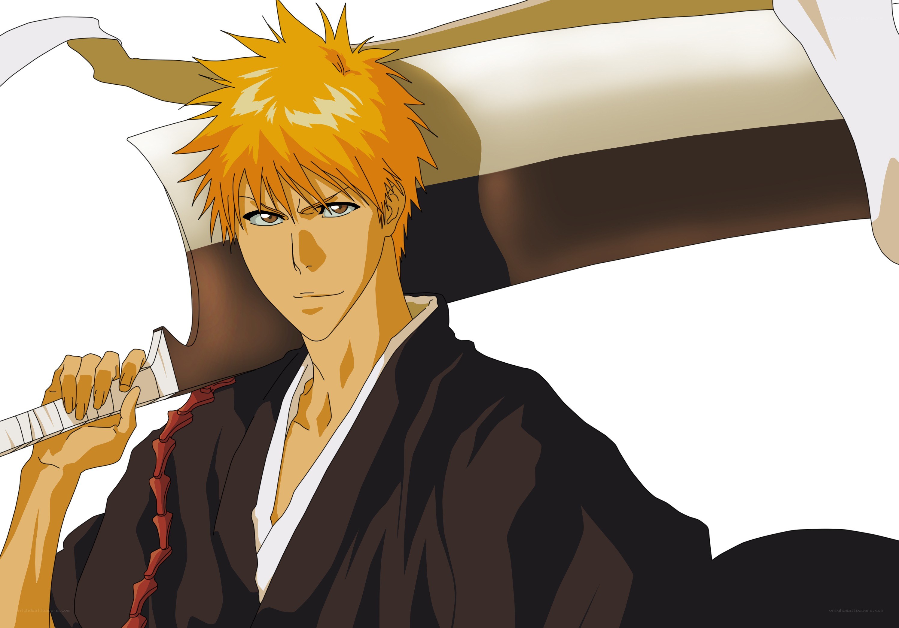 Bleach anime character
