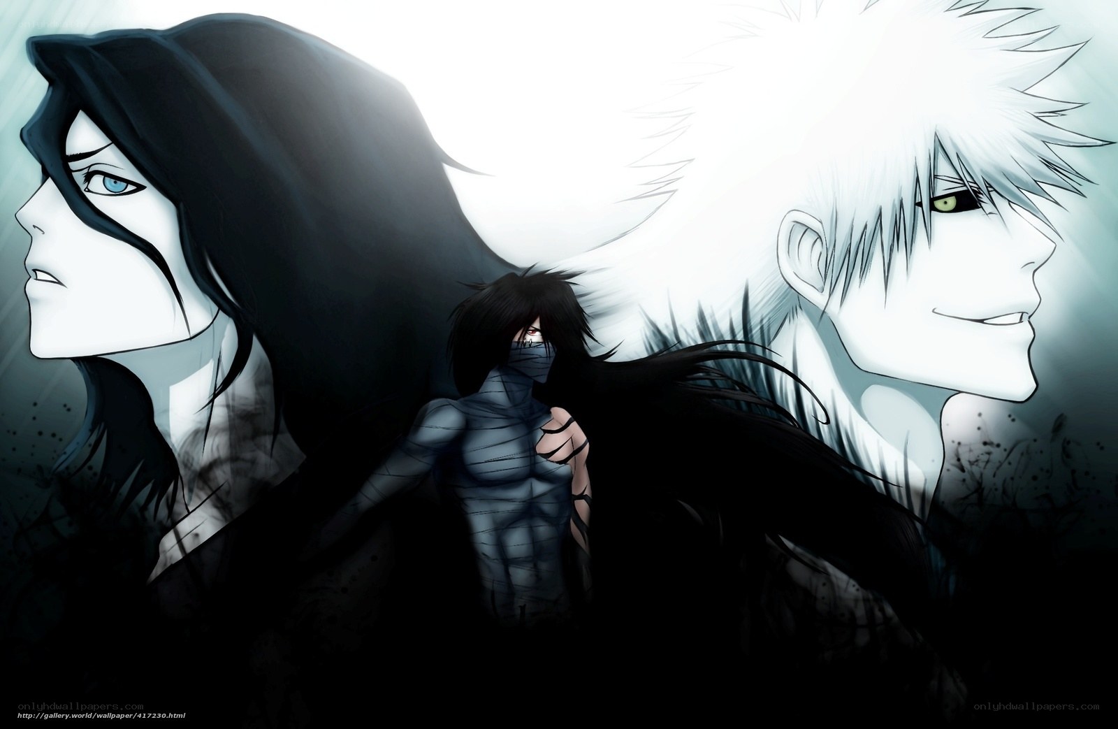 Bleach anime character art