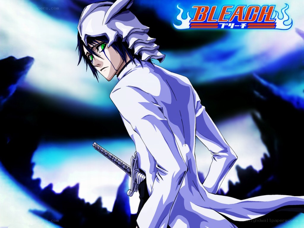 Bleach anime character art