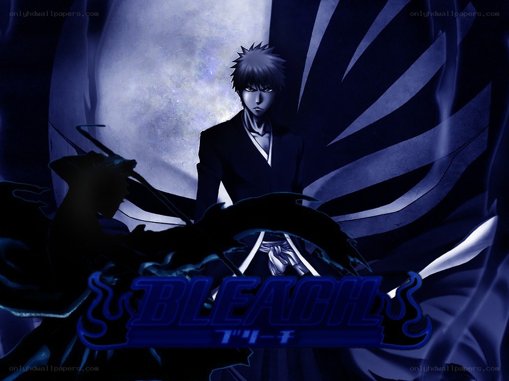 Bleach anime character art