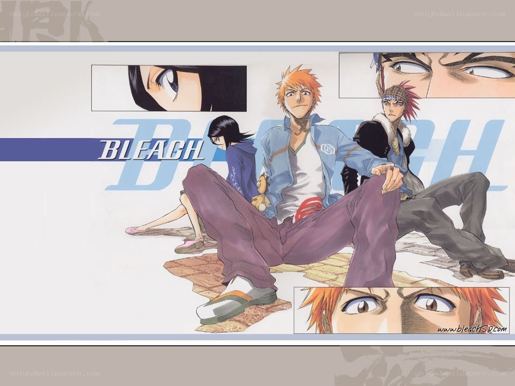 Bleach anime character art