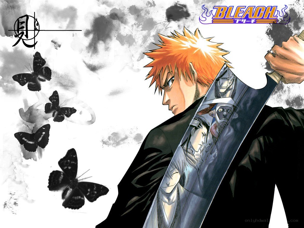 Bleach anime character art