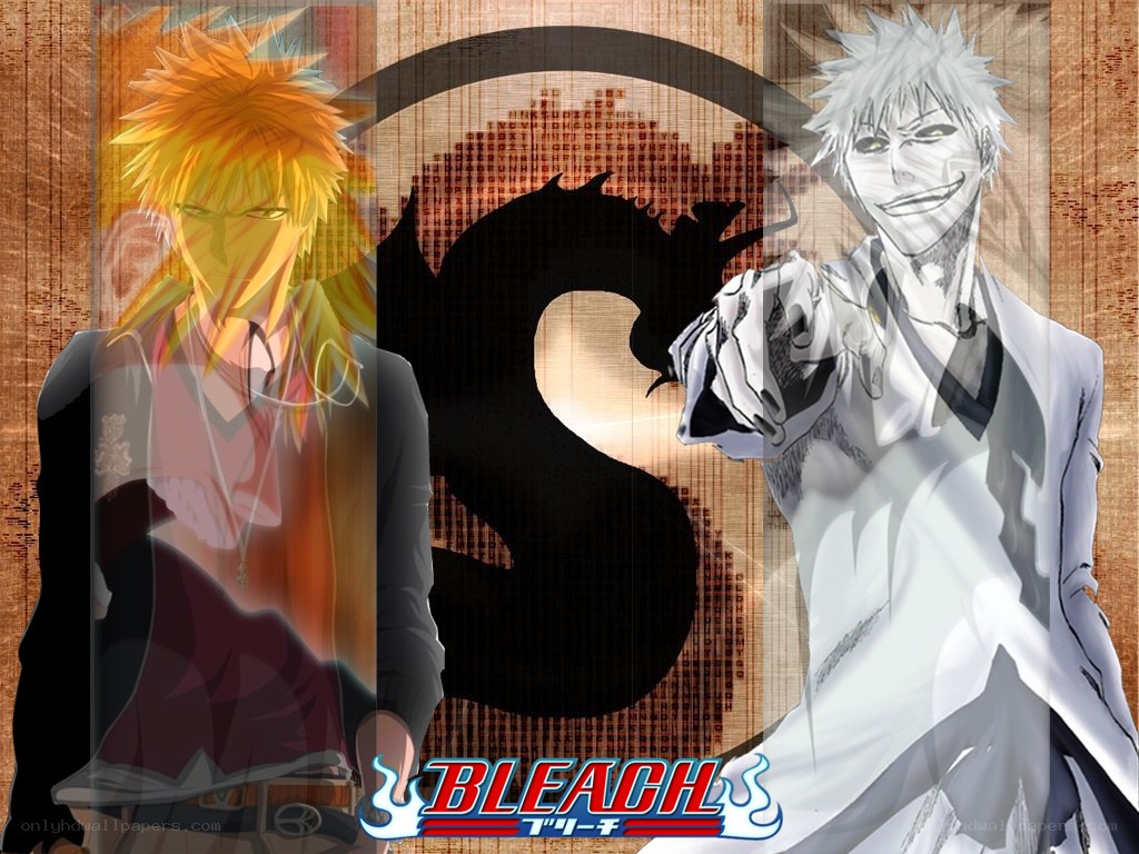 Bleach anime character art