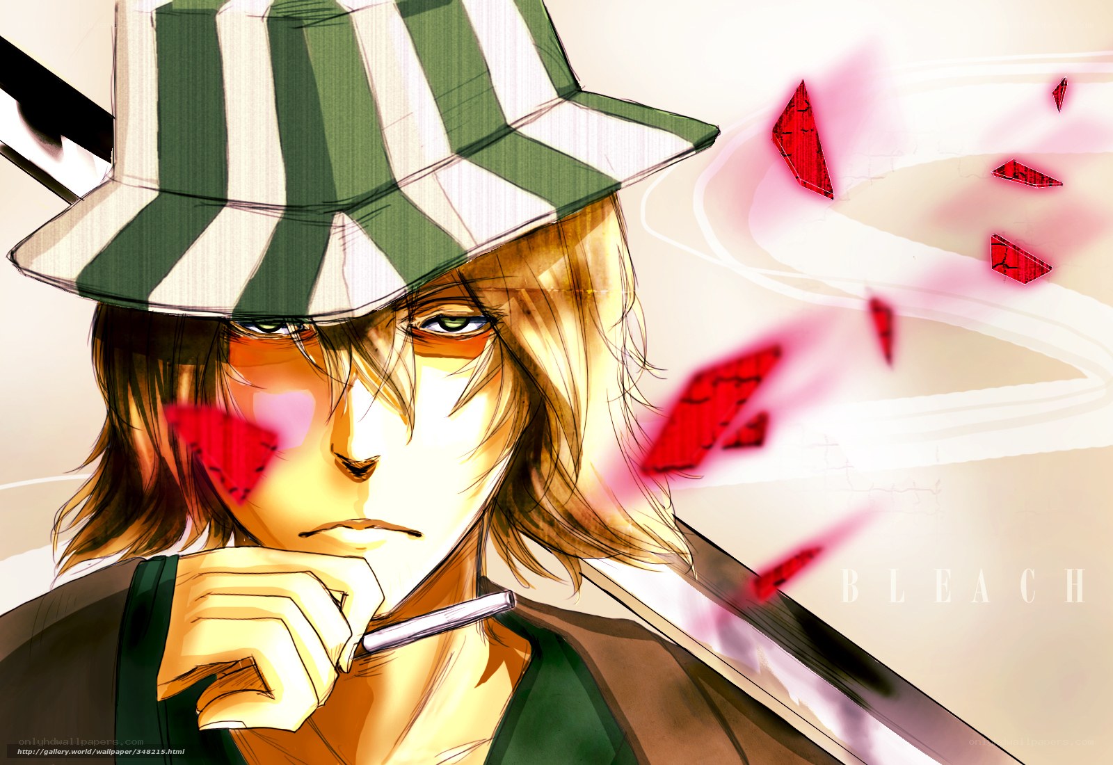 Bleach anime character art