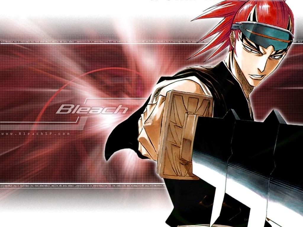 Bleach anime character artwork
