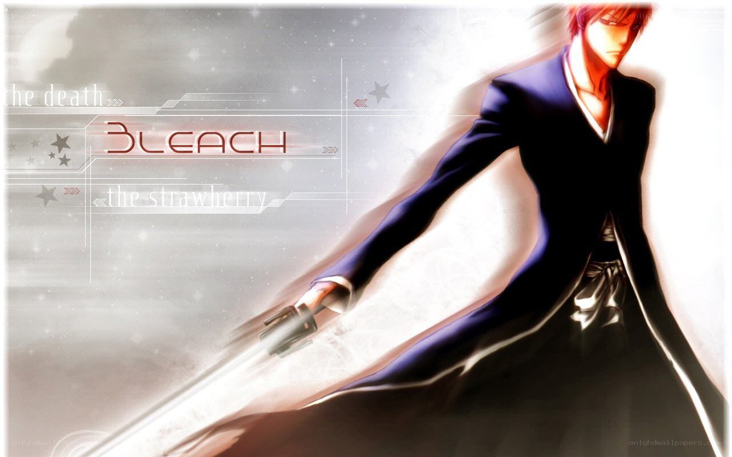 Bleach anime character artwork