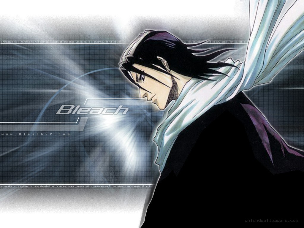 Bleach anime character artwork