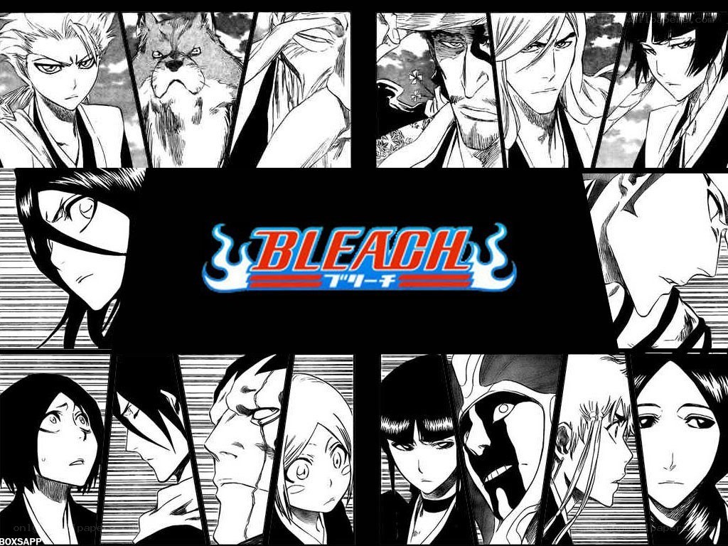 Bleach anime character collage