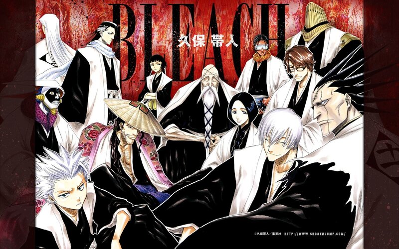 Bleach anime character lineup