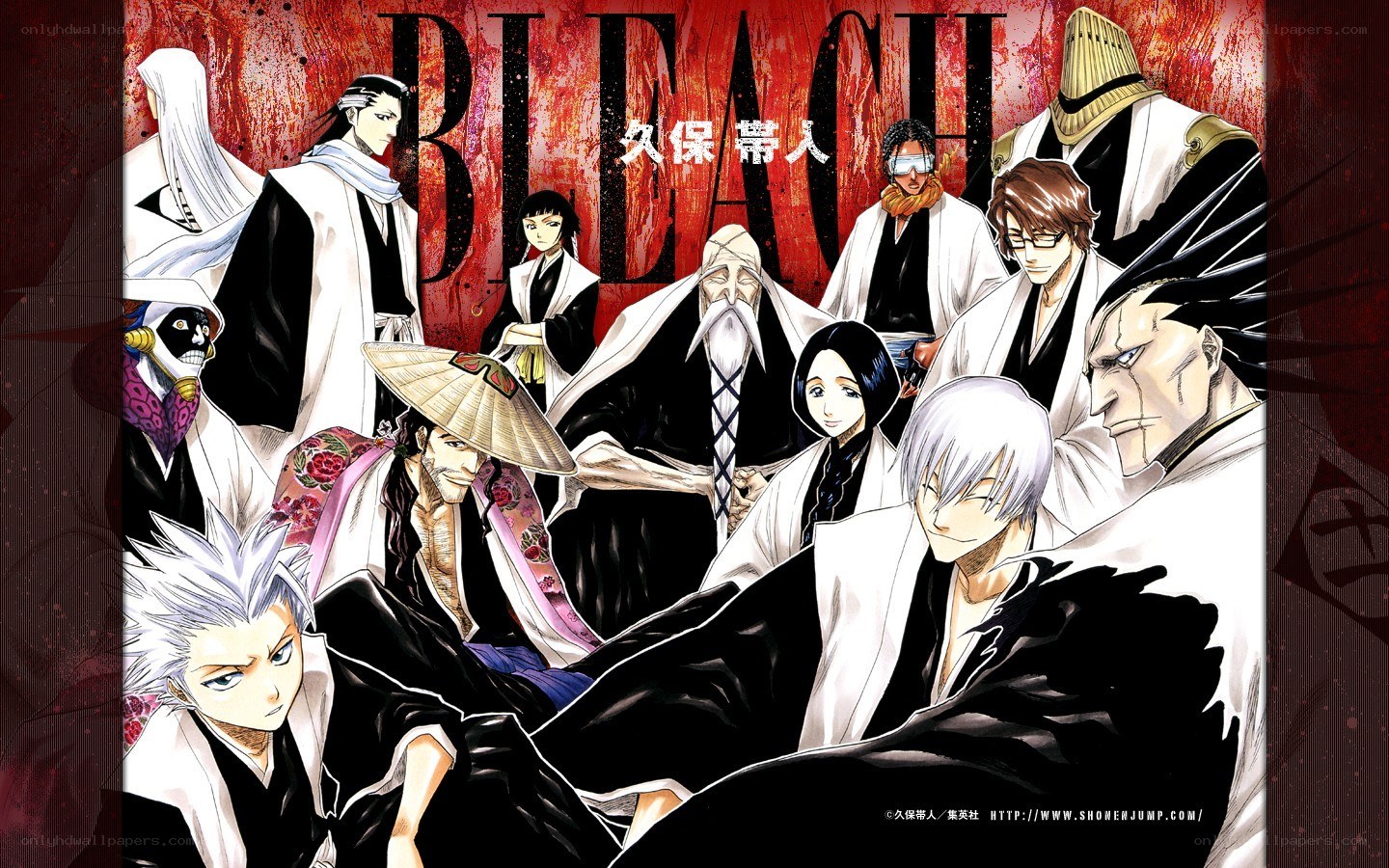 Bleach anime character lineup